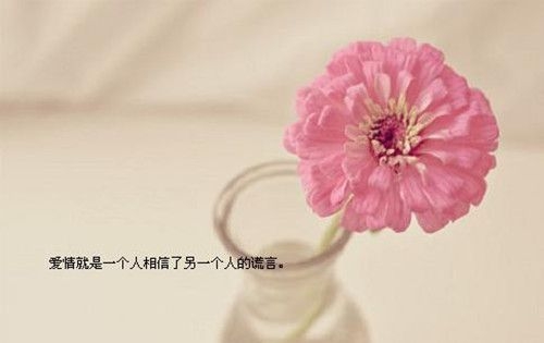 只要是喜剧收尾，过程你让我怎么