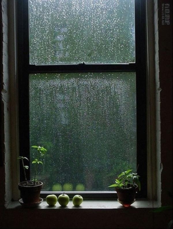 小清新的意境唯美图片   下雨天说不出的安逸