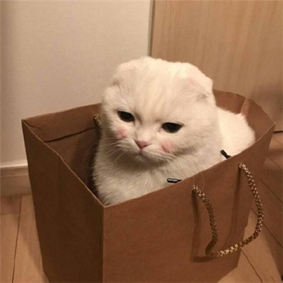 少一些烦恼多一点快乐