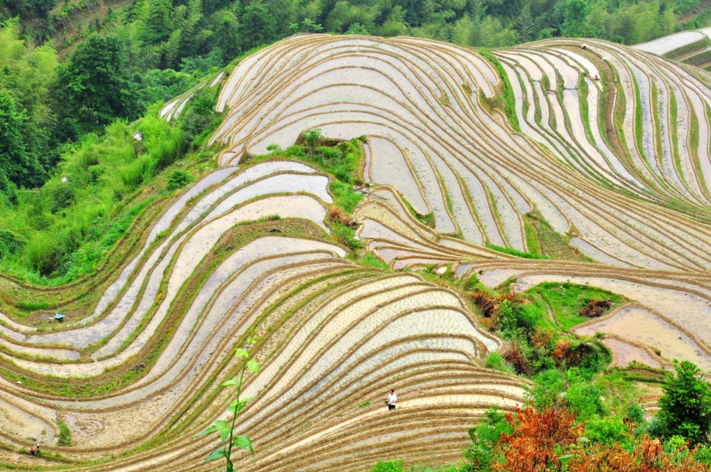 广西唯美龙脊梯田高清风景壁纸
