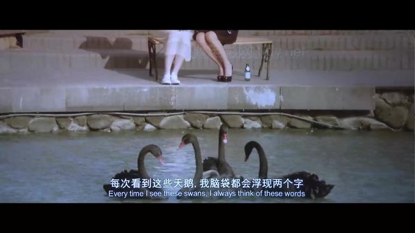 我们的故事，却并不那么平凡