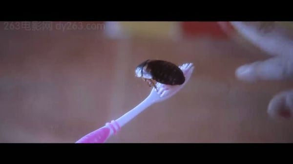 小时代，我们的时代