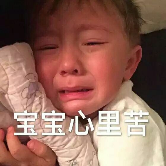 软饭宝宝