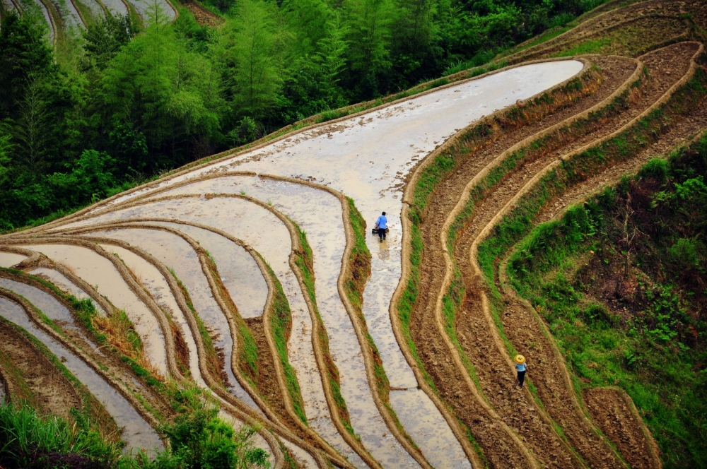 广西唯美龙脊梯田高清风景壁纸