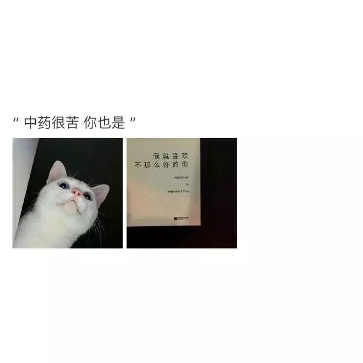 王彤彤：文字/总有一句戳你心