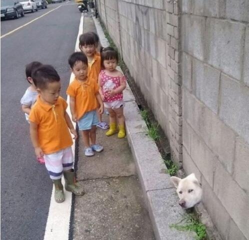 救命啊我卡住了