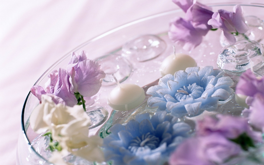 室内花 第九辑