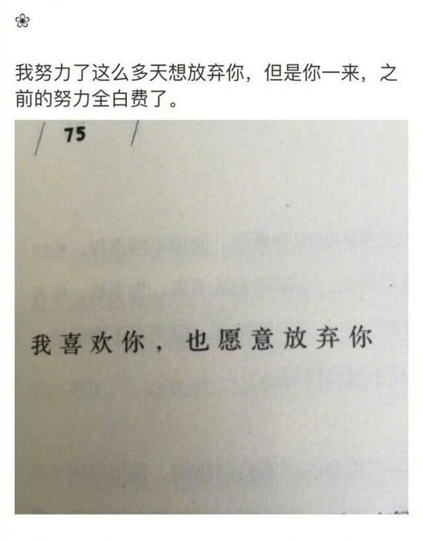 我已不想再对谁满怀期待.