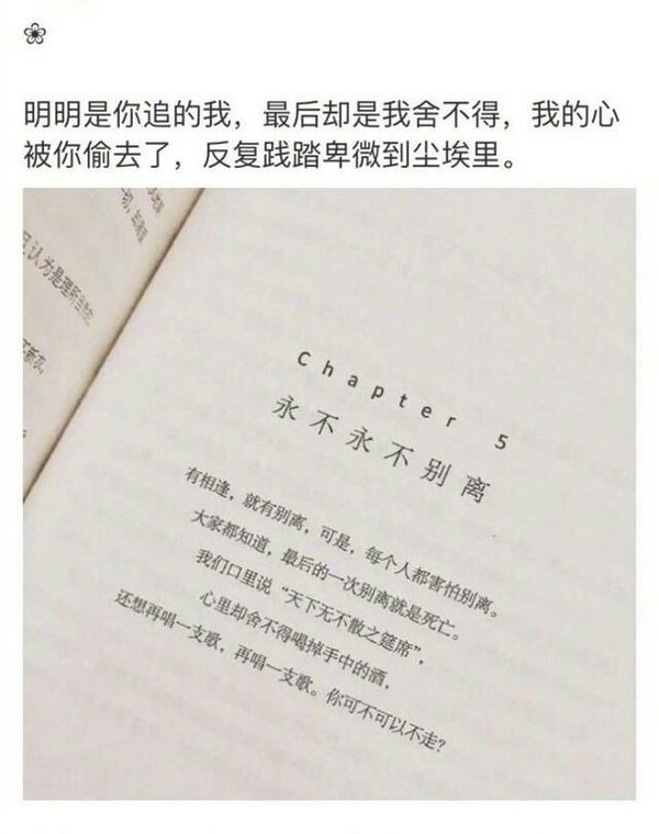 我已不想再对谁满怀期待.