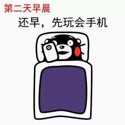 短短9幅图说完了我整个假期