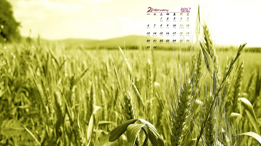 2017年2月绿色清新护眼植物日历壁纸  第一辑