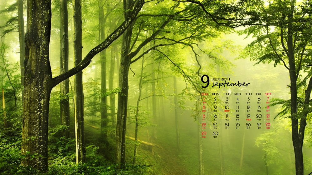 2013年9月唯美日历宽屏桌面壁纸