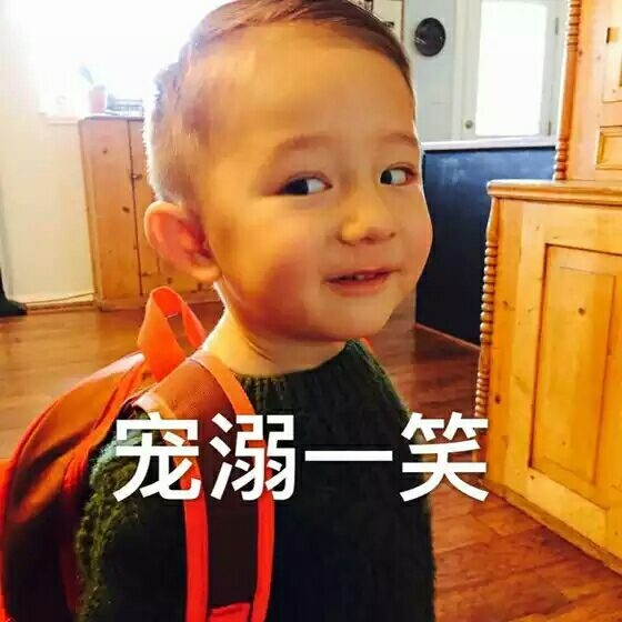 软饭宝宝