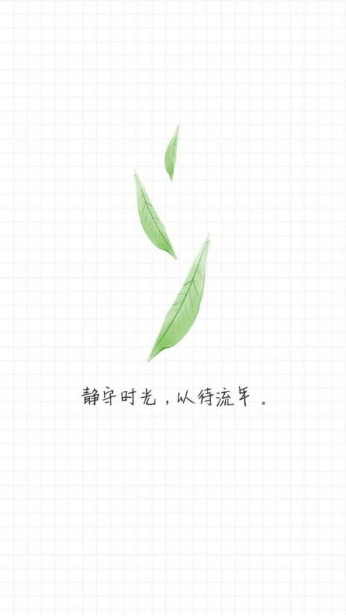 当你和我说别人喜欢我时，我好想和你说“可是我喜欢的是你呀”