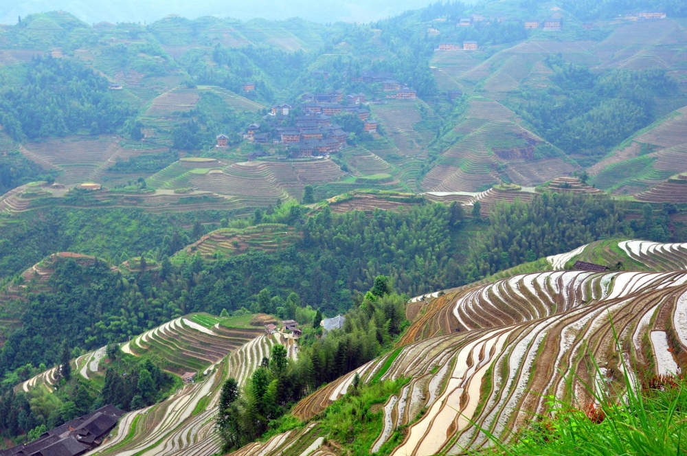 广西唯美龙脊梯田高清风景壁纸