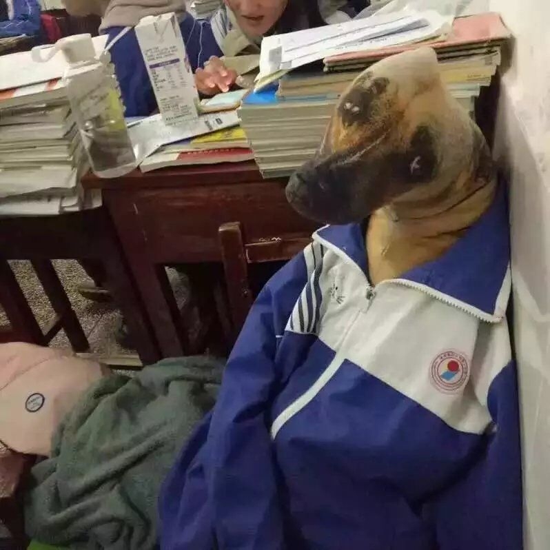 上了个厕所回来就这样了