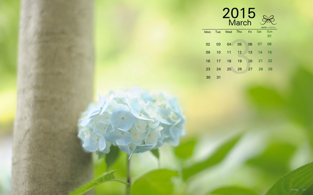 2015年3月日历唯美盛开的绣球花植物欣赏高清屏保桌面电脑壁纸下载