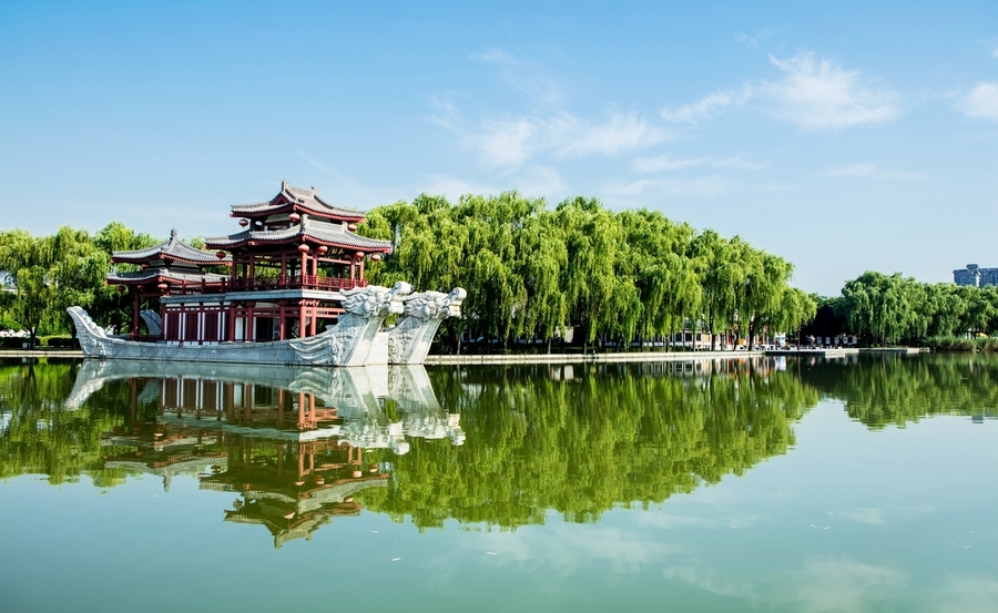 风和日丽的芙蓉园清晨图片