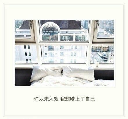 我从来都没想过放弃你