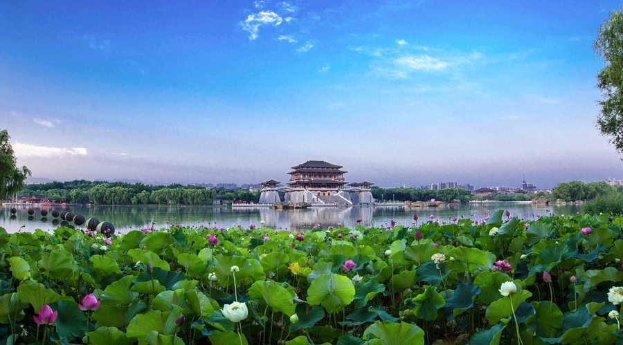 风和日丽的芙蓉园清晨图片