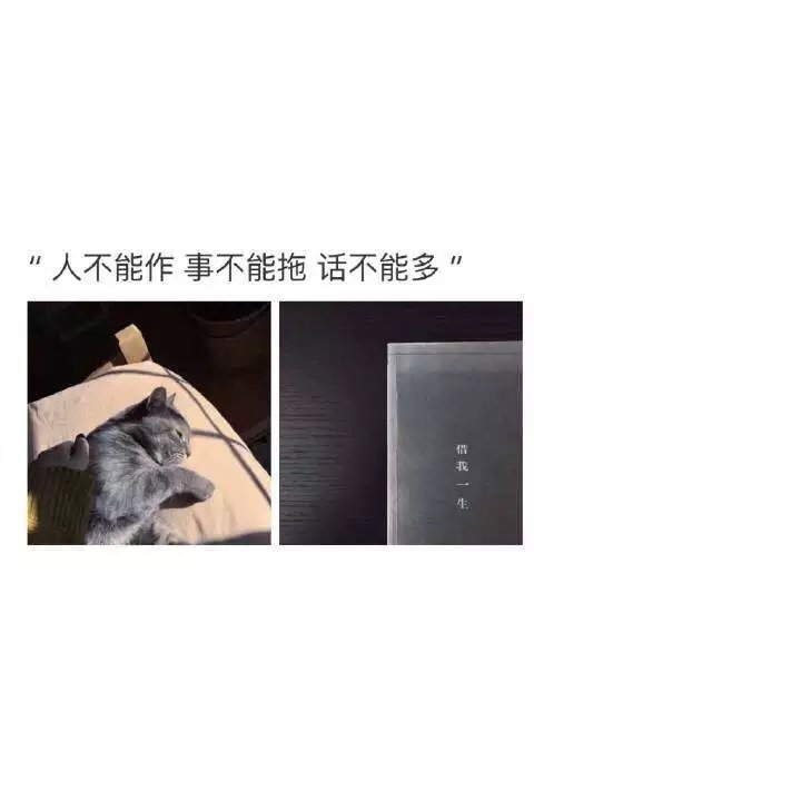 王彤彤：文字/总有一句戳你心