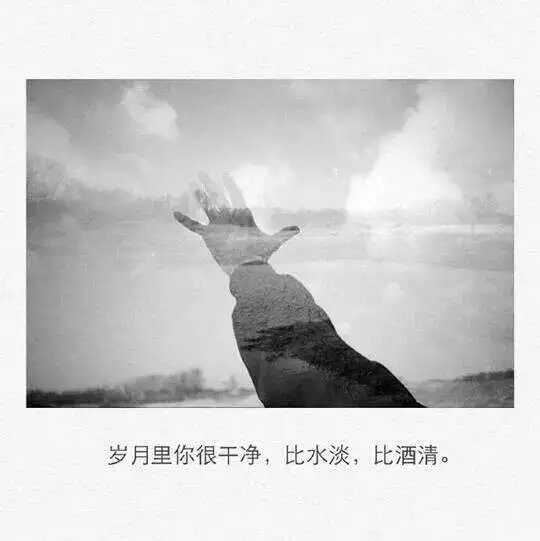 我去翻你的过往 并不是嫉妒 只是难过 有种深情你从未给过我。