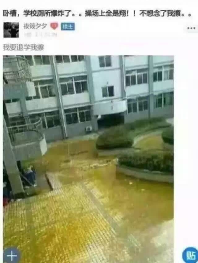 学校厕所被水淹后的场景