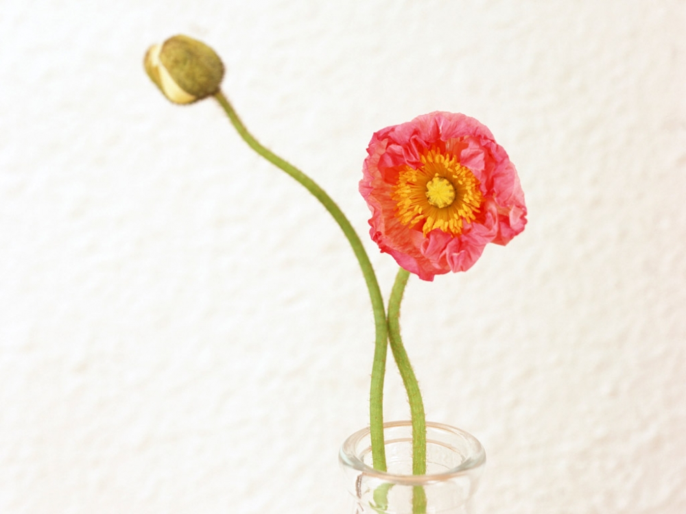 室内花饰 第二辑