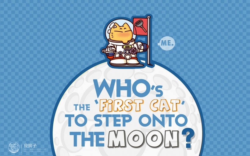 可爱卡通皮揣子猫桌面壁纸