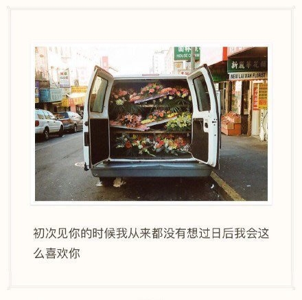 说过很多潇洒的话，做过很多打脸的事