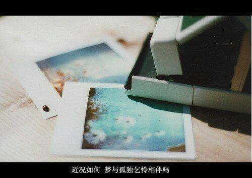 近况如何，梦与孤独乞怜相伴吗？