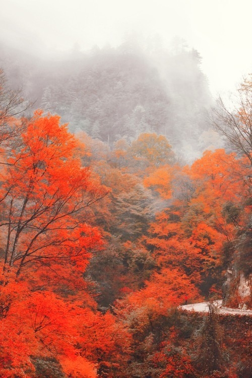 唯美意境风景lomo意境图片