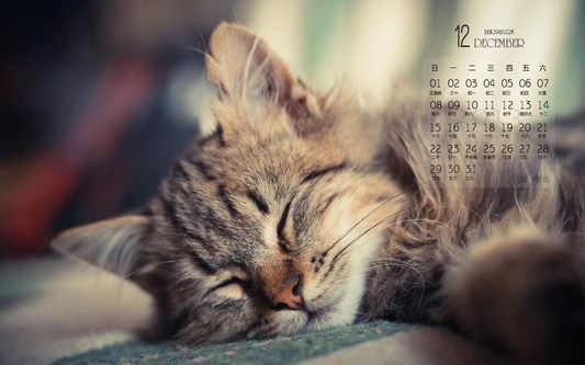 2013年12月月历桌面壁纸