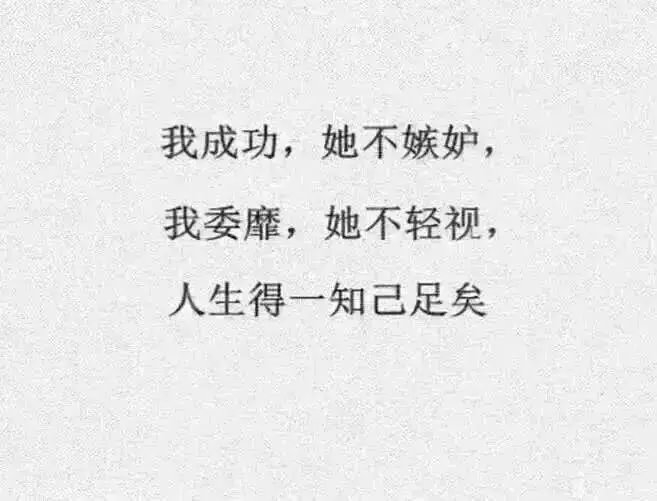 最好的友情无非就是这个样子