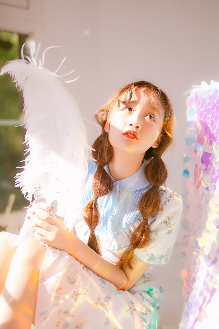数不尽的少女心.
