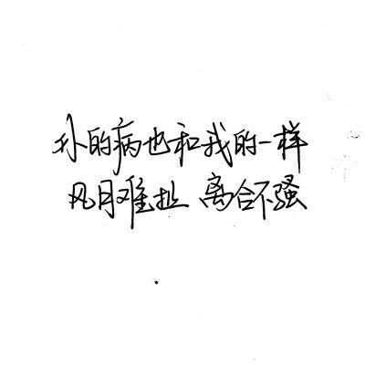 来啊 互相伤害啊.