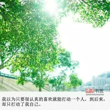 若你爱我，我便爱你更多