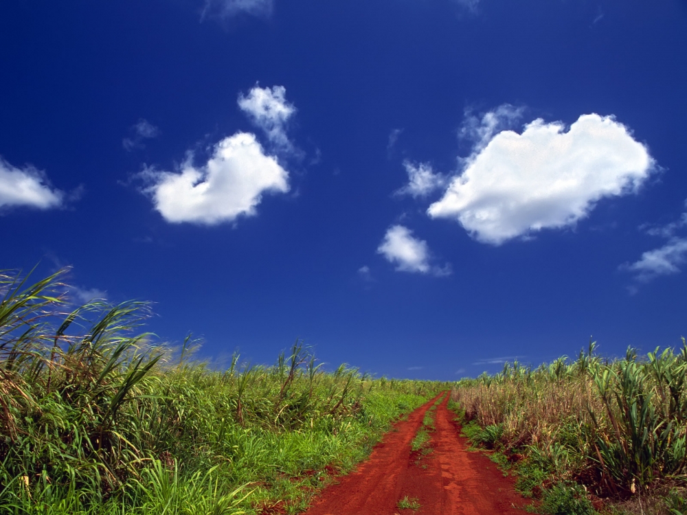 道路 第二辑