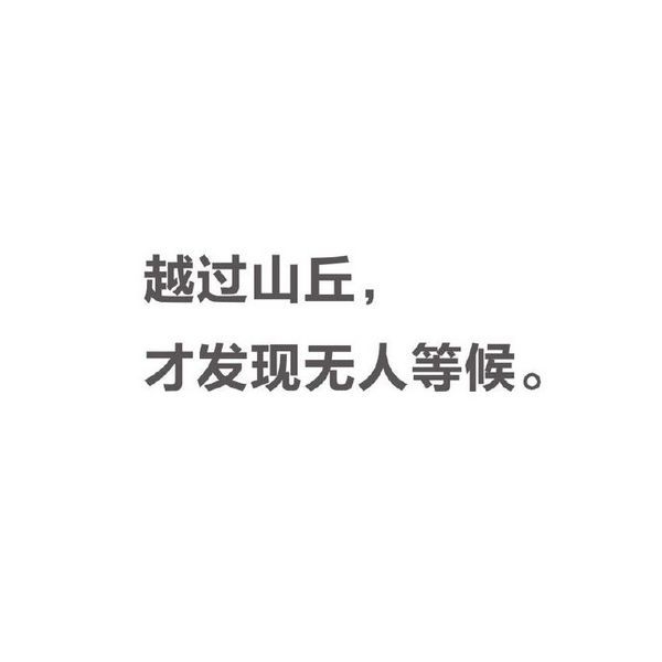 越过山丘，才发现无人等候