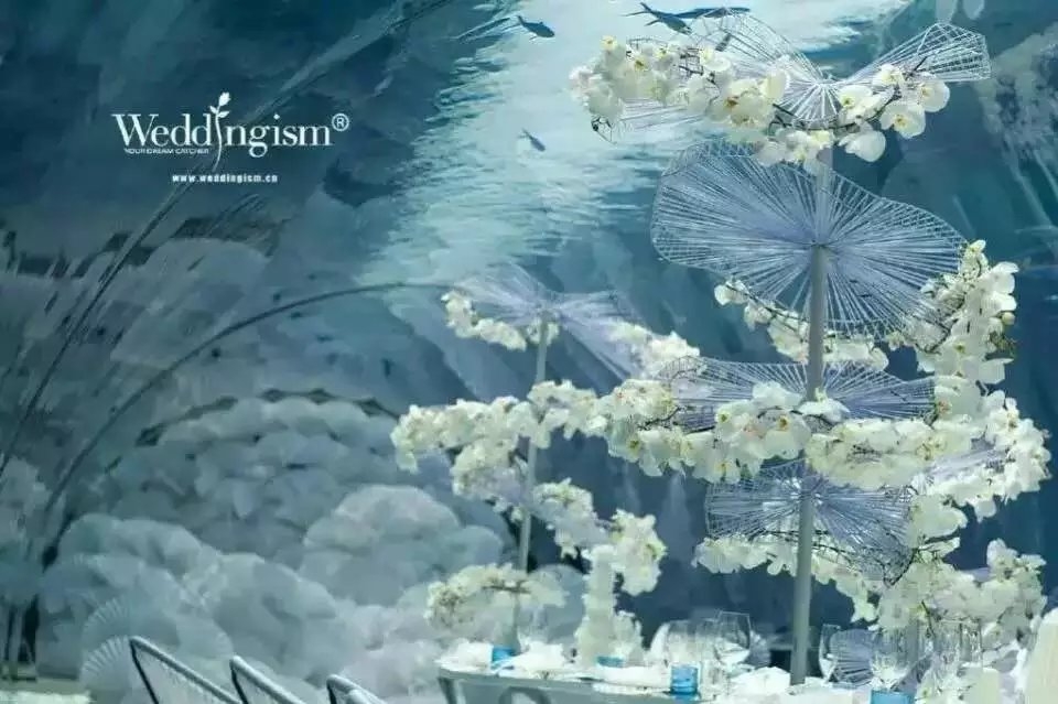 水下婚礼你值得拥有