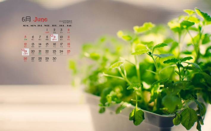 2016年6月唯美日历桌面壁纸
