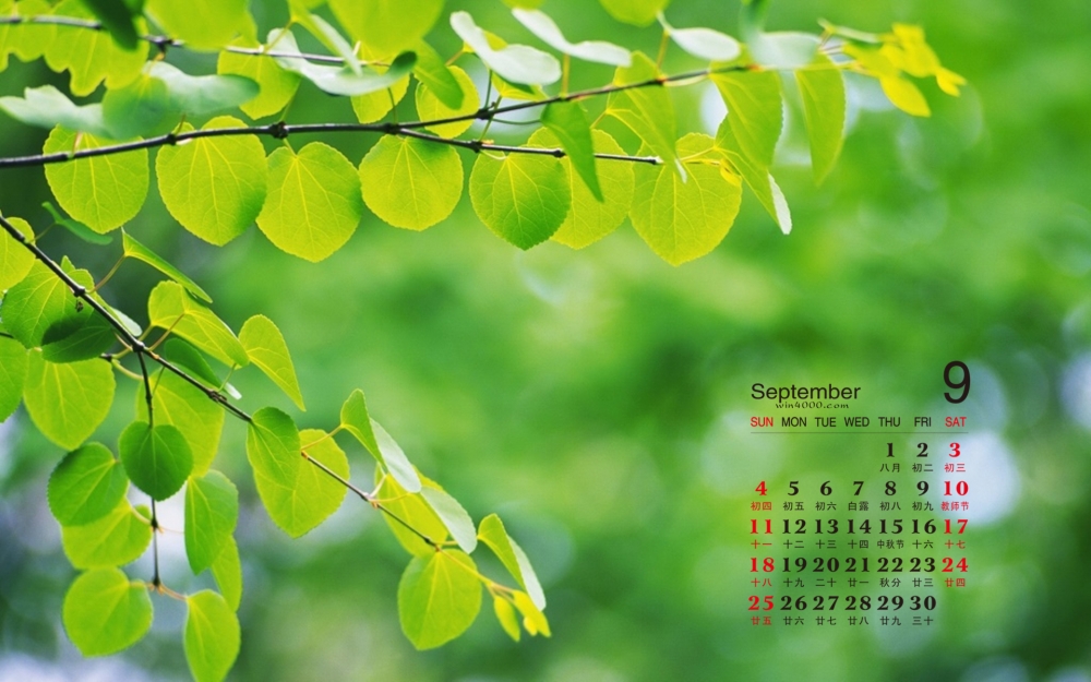 2016年9月日历精选高清绿色背景桌面壁纸