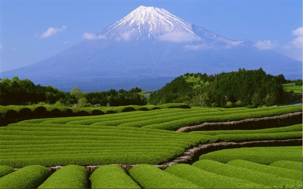 日本富士山秀丽风景唯美高清电脑壁纸大全