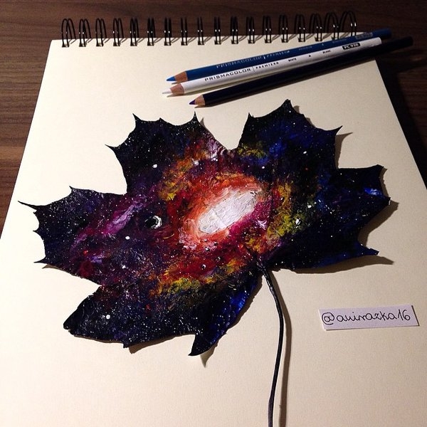 秋叶上的画