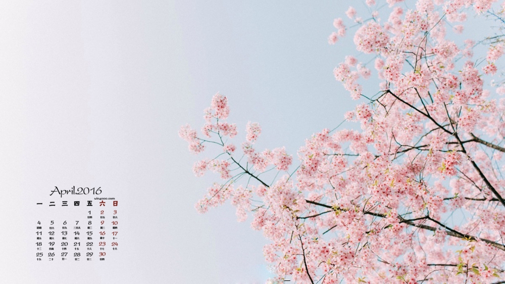 2016年4月日历唯美小清新樱花摄影美图壁纸下载