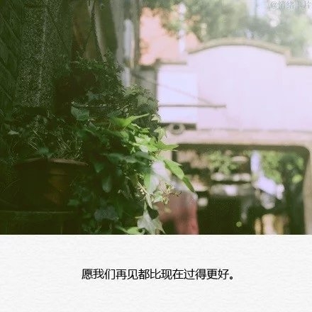 我满脑子都是他，他满脑子都是她