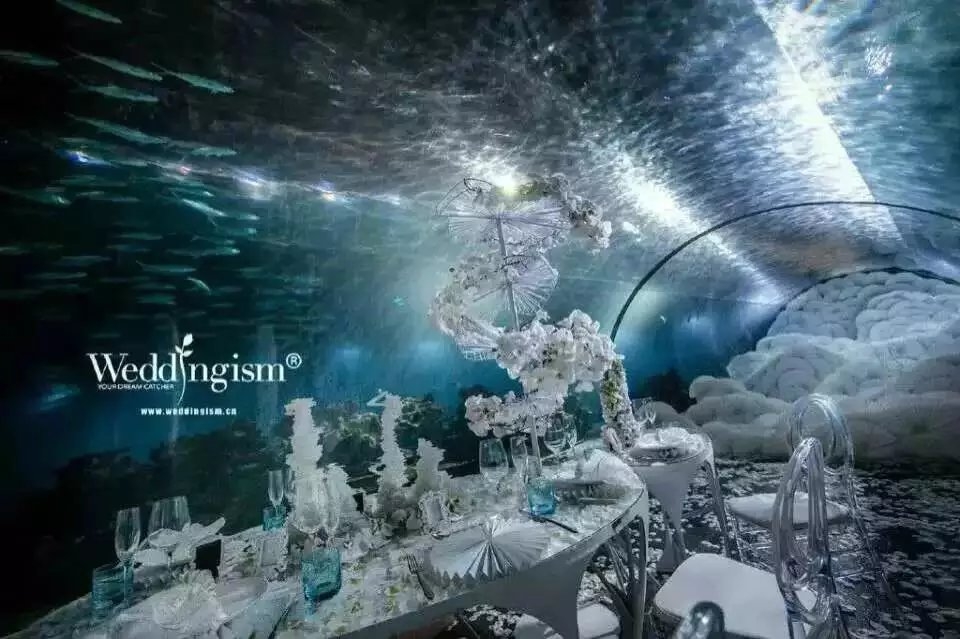 水下婚礼你值得拥有
