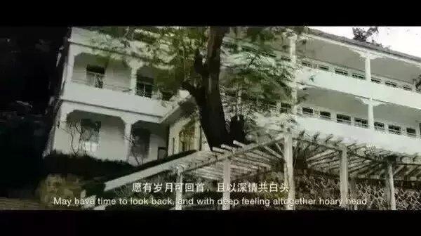 匆匆那年的我们，究竟说了几遍