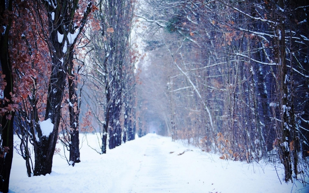 严寒冬季美丽雪景桌面壁纸