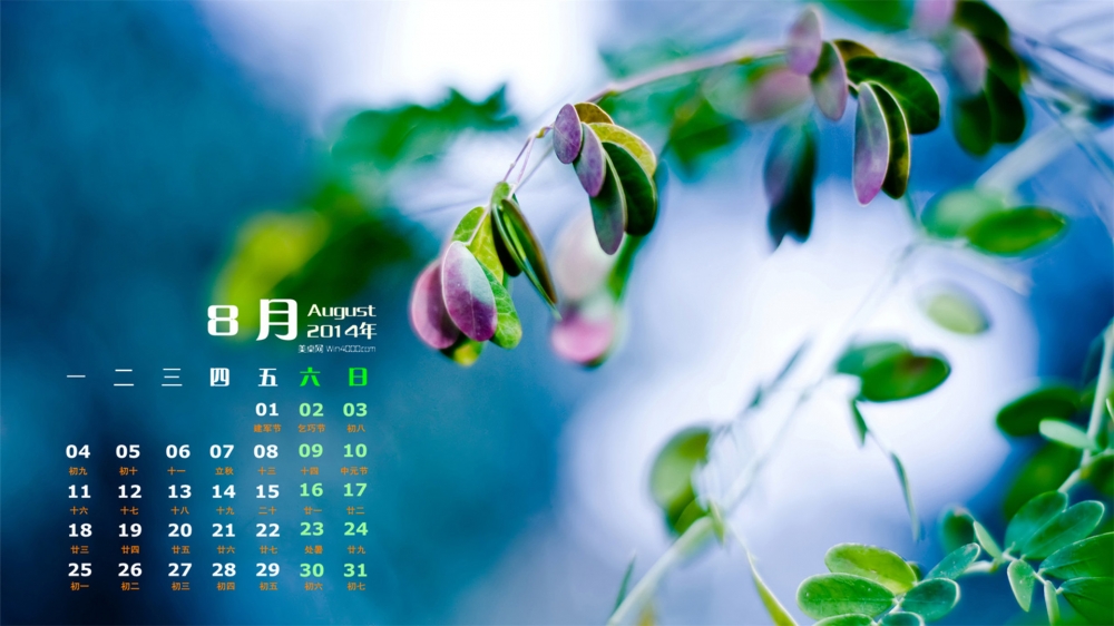 2014年8月日历绿色养眼植物高清开机电脑桌面壁纸